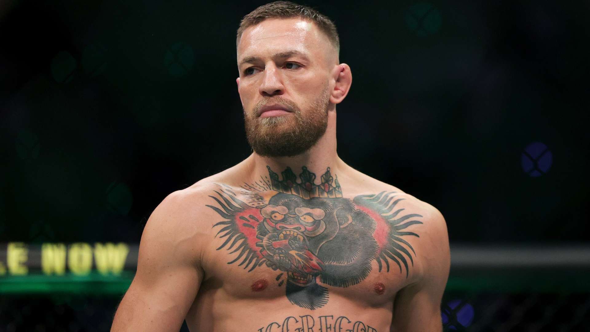 世界杯精彩进球回放及热门球员点评